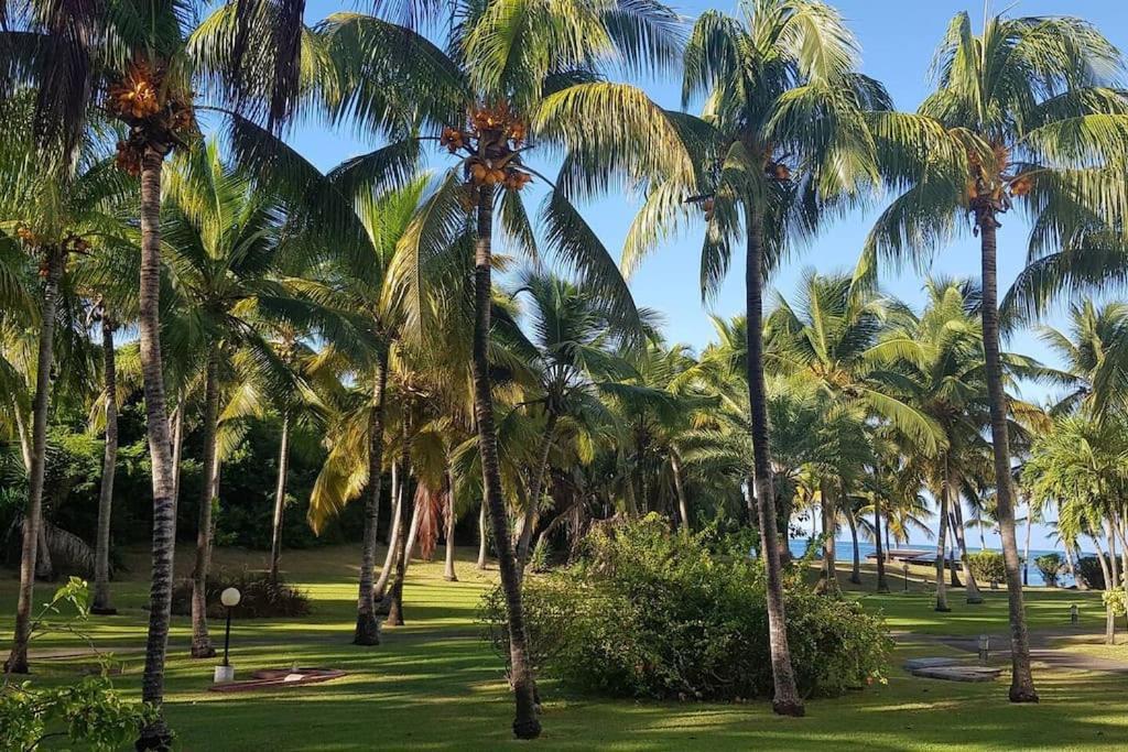 Karibeko : Exceptionnel & Rare : Plage , Piscine, Wifi Prive Saint-Francois  Exterior photo