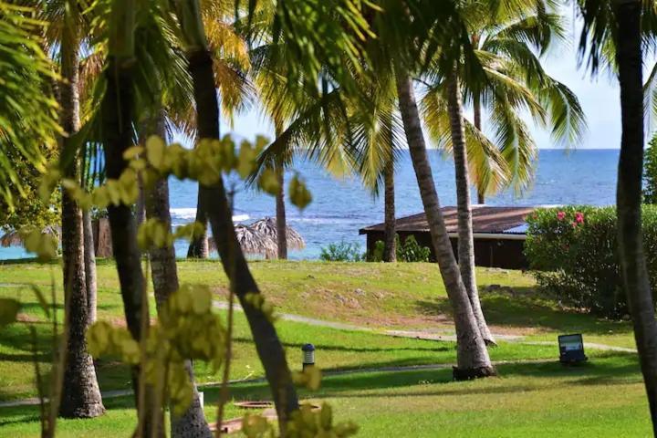 Karibeko : Exceptionnel & Rare : Plage , Piscine, Wifi Prive Saint-Francois  Exterior photo