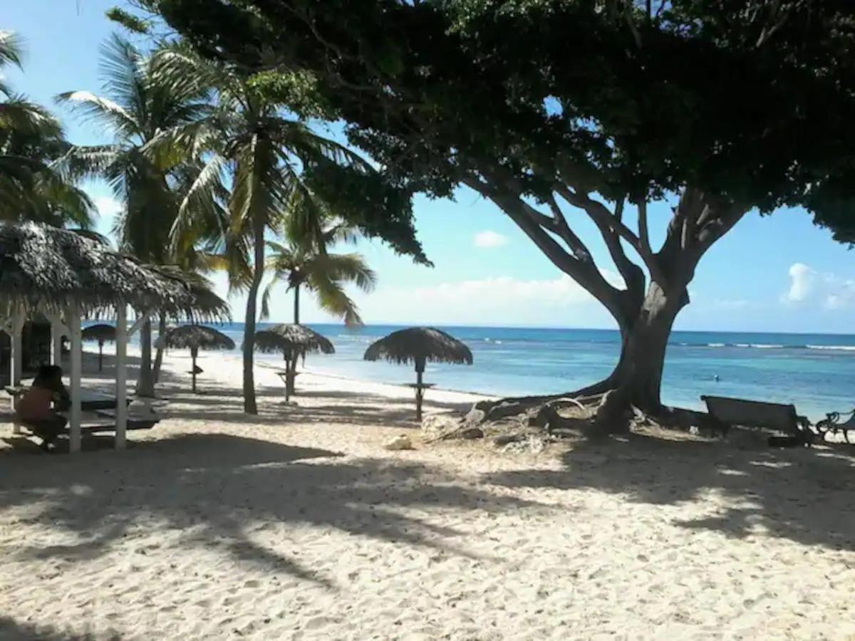 Karibeko : Exceptionnel & Rare : Plage , Piscine, Wifi Prive Saint-Francois  Exterior photo